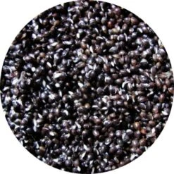 Eurotackle Hennep 5kg Ready To Fish