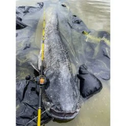 Black Cat Cast 301LH Reel -Hengels Wereld Verkoopwinkel 4017421Black Cat Cast 301LH Reel 6