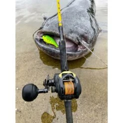 Black Cat Cast 301LH Reel -Hengels Wereld Verkoopwinkel 4017422Black Cat Cast 301LH Reel 7