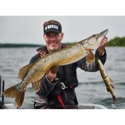 Savage Gear 4D Line Thru Pike 48cm -Hengels Wereld Verkoopwinkel 4075133Savage Gear 4D Line Thru Pike 48cm 3