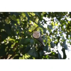 Nash Entity 12ft 3.00lbs Full Shrink -Hengels Wereld Verkoopwinkel 4324471Nash Entity 12ft 3 00lbs Full Shrink 2